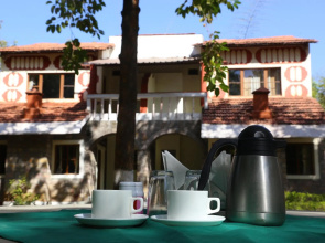 Mogli Jungle Resort