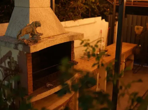 Косон