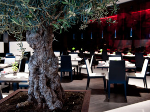 Park Plaza London Westminster Bridge