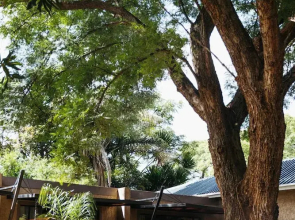 The 5 Sandalwood Lodge is Situated in Mount Pleasant - 2019