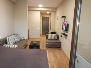 Studio in Bakuriani City