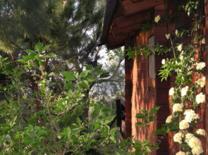 wooden Edge Of The Village