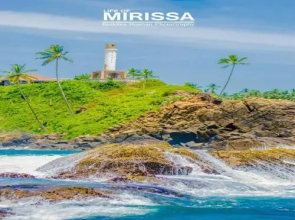 Sayuri Guest and Cool Bar