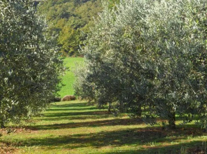 Ca Del Bocca