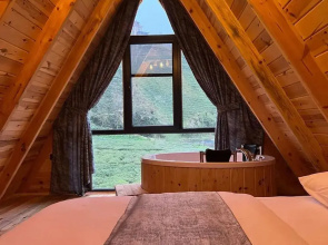 Rize Seversin Suit Bungalow