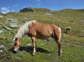 Rifugio Grand Tournalin