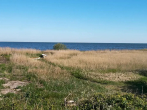 Cozy Holiday Home in Hemmet near Sea
