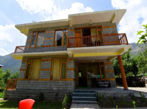 OYO 14580 Home Luxurious Studios Shanag