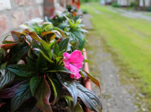 Cserépmadár szállás és Csinyálóház