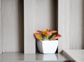 Mirage Express Patong Phuket Hotel