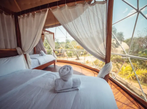 Alaya Yoga & Surf & Retreat
