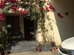 Vedic Village Aqua Bungalow