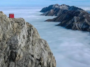 elefante appartamenti