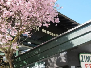Pension Steinbock