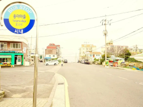 Little Haenyeo