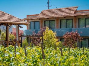 Giuaani Winery