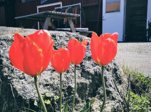 Hotell Käringön