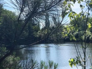 Maison bois au coeur de la nature. 2ha de terrain. Etangs