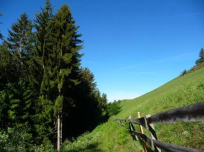 Putzerhof