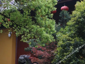 宁阳锦华度假村