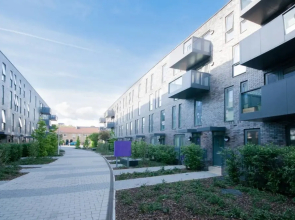 Bright 1BR Flat - 10 min Canary Wharf