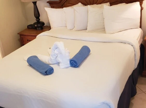 Hollywood Beach Resort - City View