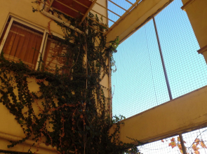 Cavo D'Oro Hotel