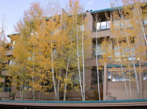 Homestake Condos