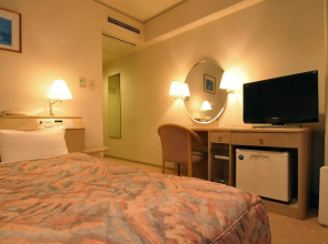 Takarazuka Washington Hotel