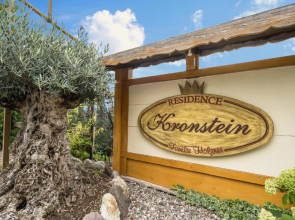 Residence Kronstein - Fewo 8