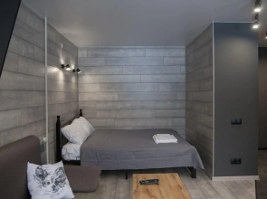 Nice Apartments on Pushkinskaya street 242