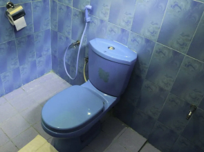 Yoho Eden Garden Way