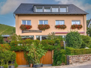 Pension Auf der Olk mit Mühle