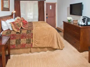 Lodge at Vail Dog Friendly C139