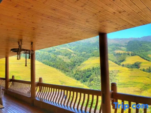 Ink and Longji Homestay (Longsheng Millennium Ladder Observation Deck)