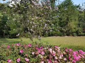 Pousada Terra Nostra