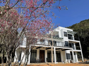 Dear house