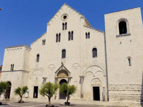 Your Shelter - Only self check in