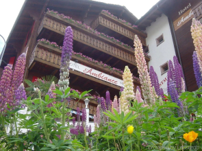 Hotel Ambiance