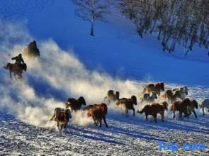 Trip.com Group Country Retreats (Xinjiang Hemu Xirong Joint Resort）
