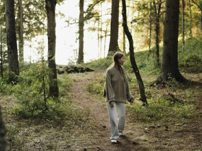 Вили Улей Карелия