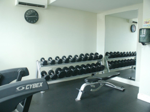 Wyndham Garden Long Island City Manhattan View Hotel