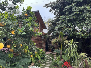 Wood Haven Homestay