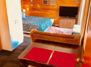 Cosy studio apartment