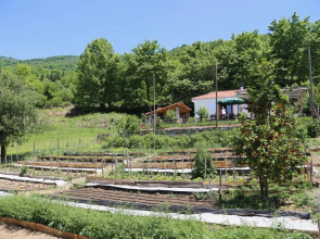 Karaiskos Farm