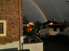 Il fiordaliso