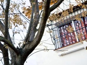 House With 3 Bedrooms in Atarfe, With Wonderful Mountain View, Private
