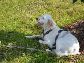 Ferienwohnung Im Schiller