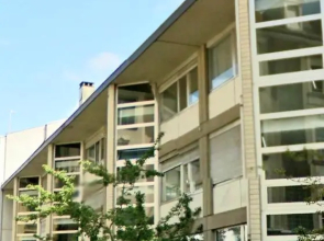 Ruhiges 2 Zimmer Apartment in Bern Zentrum