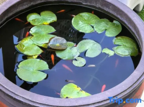 Yingcheng Accommodation (Zibo Wanda Plaza)